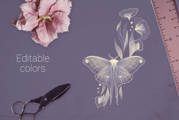 Butterfly Decorative Elements: A Guide to Elegant Vector Design