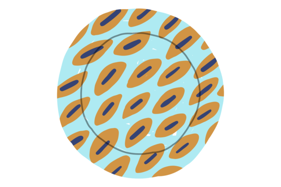 Designing with Purpose: The Practical Value of a Dish Plate with Decorative Pattern in Cu