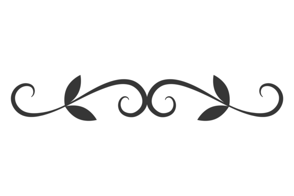 Elegant Page Divider. Natural Vine Decor: Bridging Aesthetics and Function in Digital Design