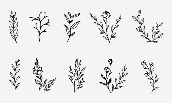 Flower Line Drawing Vector Illustration