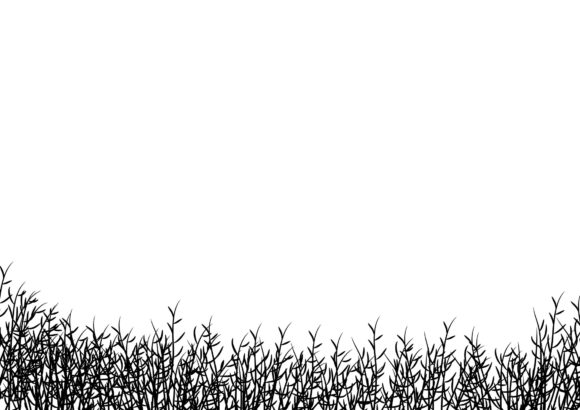 Set of 5 Decorative Footer Borders