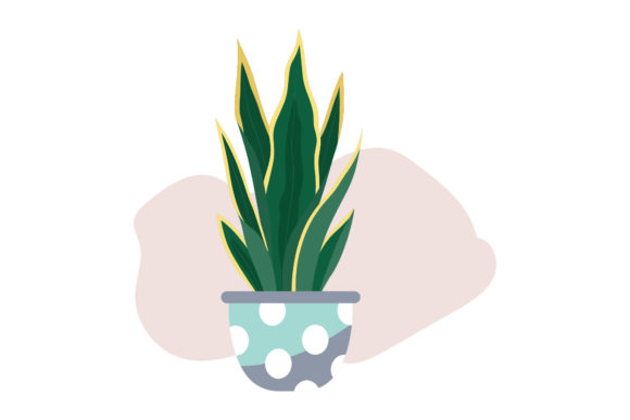 Spring Decorative Plant Design