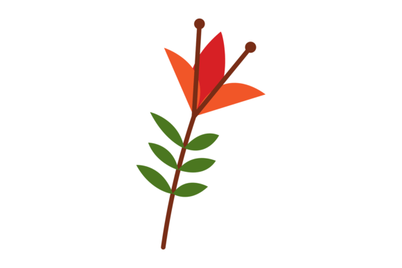 The Enduring Appeal of the Cute Red Flower: A Deep Dive into Floral Design and Digital Assets
