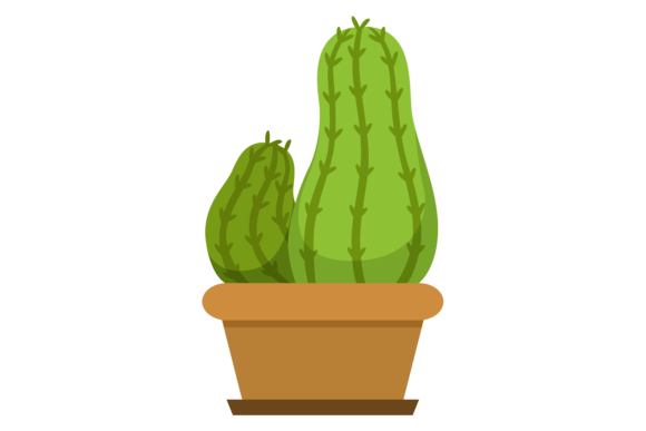 The Living Room and the Digital Canvas: Why Decorative Houseplants Are More Than Just Greenery